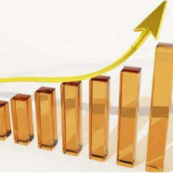 Rémunération & Dividendes