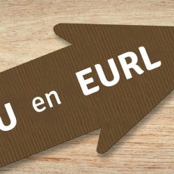Transformer une SASU en EURL : une opportunité ?